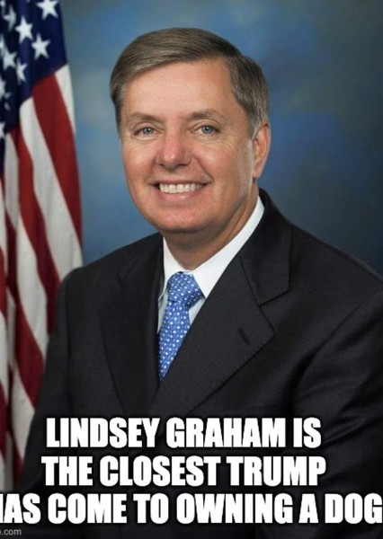 Lindsey Graham photo