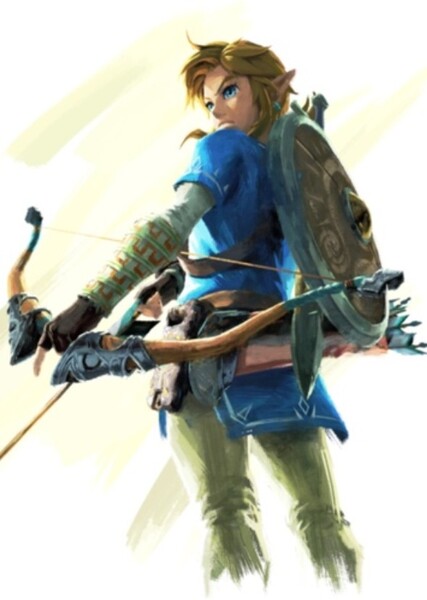 Link (TLOZ) photo