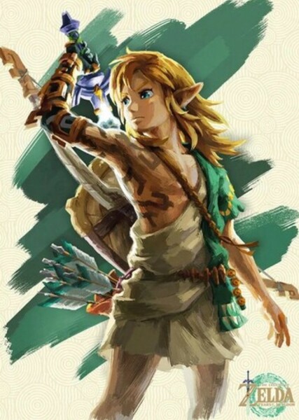 Link (TLOZ) photo