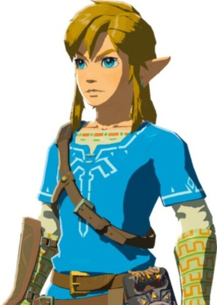 Link (TLOZ) photo