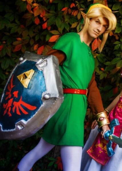 Link (TLOZ) photo