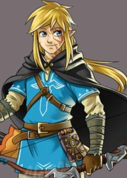Link (TLOZ) photo