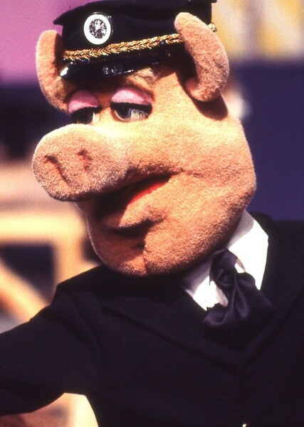 Link Hogthrob photo