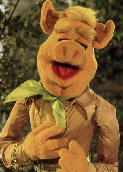 Link Hogthrob photo