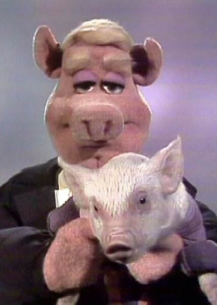 Link Hogthrob photo