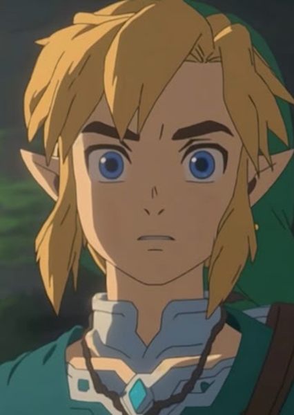 Link legend of Zelda photo