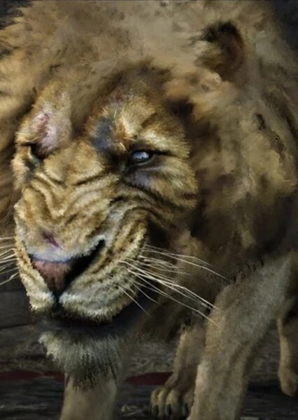Lion photo