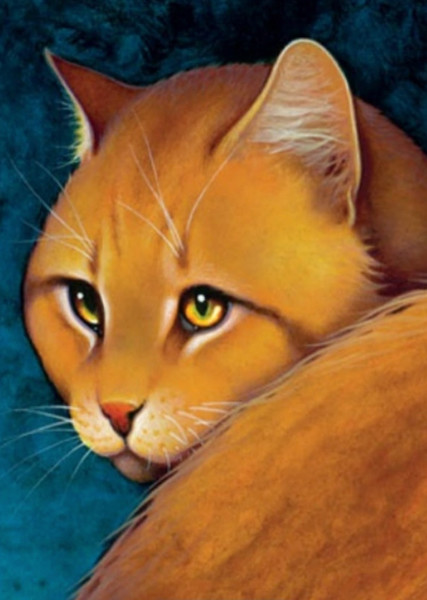 Lionblaze (Warrior Cats) photo