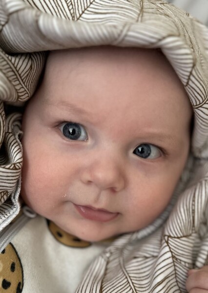 Lionel Volel photo