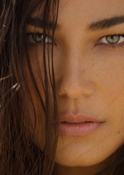 Lisa Dillon photo