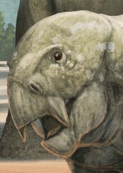 Lisowicia