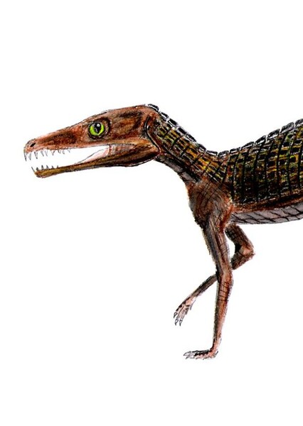 Litargosuchus
