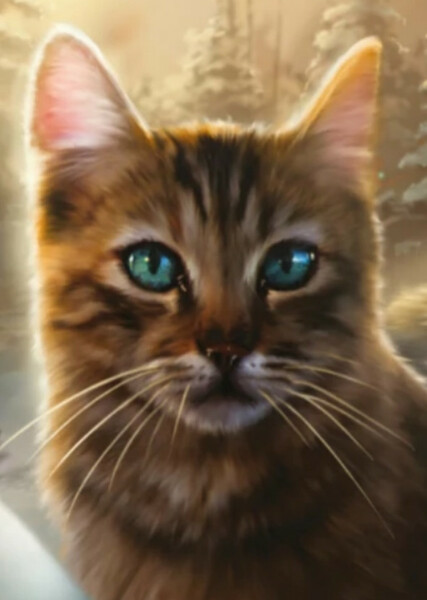Littlecloud (Warrior Cats) photo