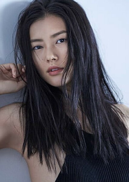 Liu Wen