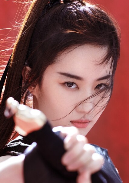 Liu Yuefei photo