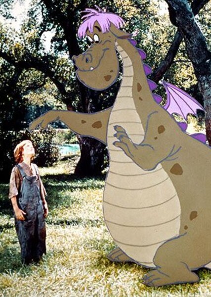 Live Action/Animation photo