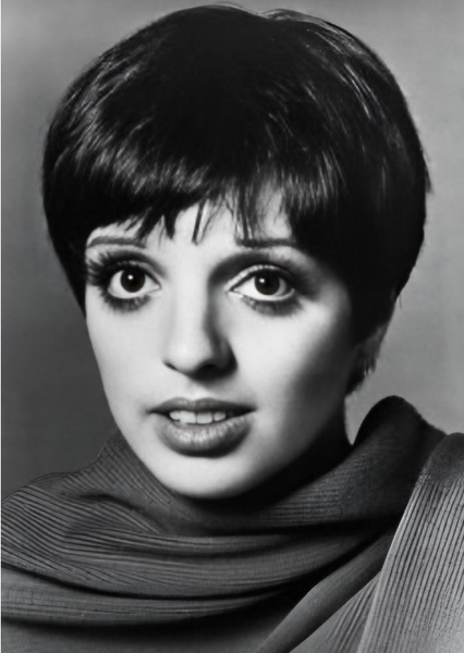 Liza Minnelli photo