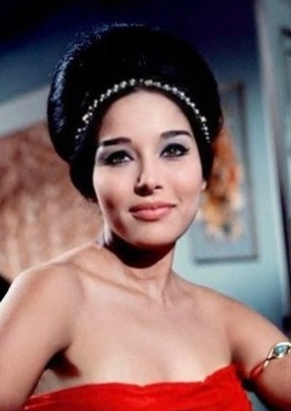 Lobna Abdel Aziz photo