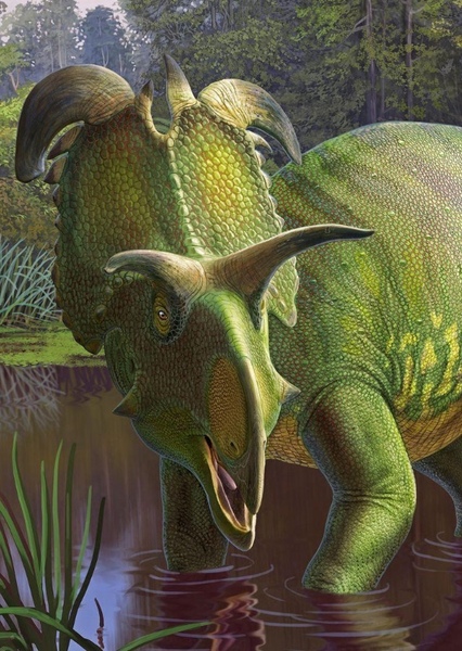 Lokiceratops photo