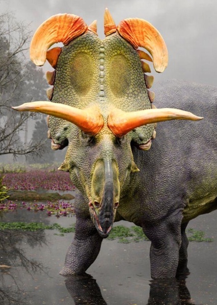 Lokiceratops photo