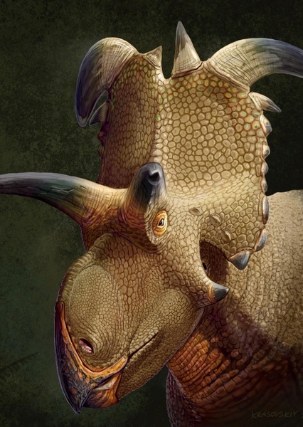 Lokiceratops photo