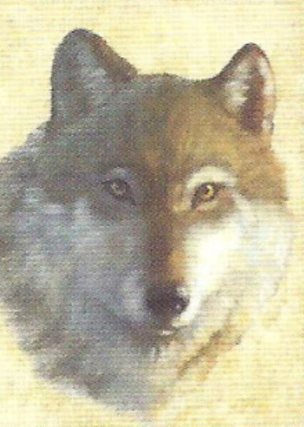 Lone Dog (American Girl)