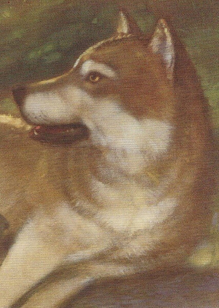 Lone Dog (American Girl)