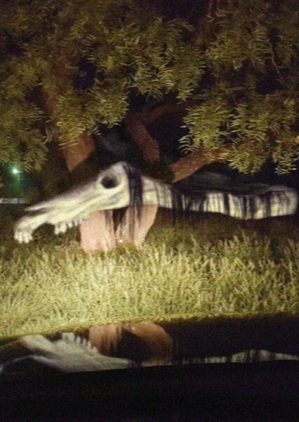 Long Horse