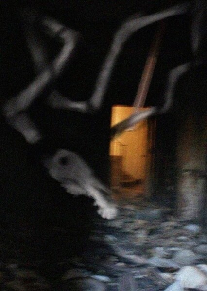 Long Horse photo