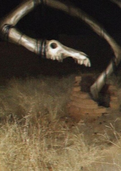 Long Horse photo