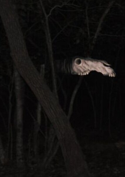 Long Horse photo