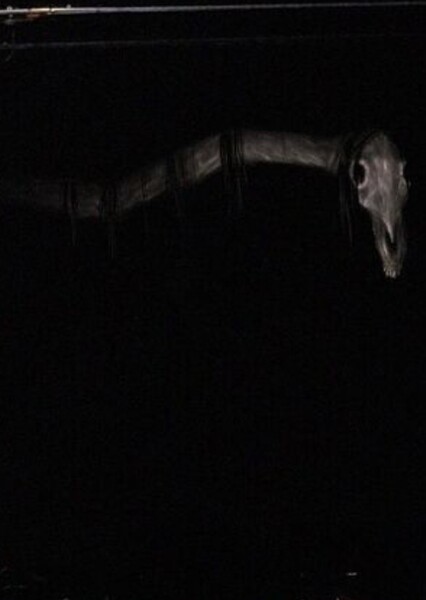 Long Horse photo