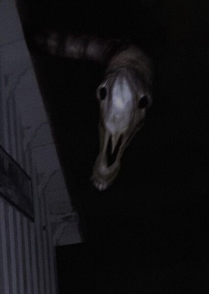 Long Horse photo