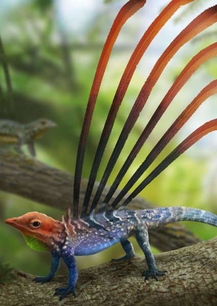 Longisquama photo