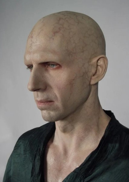 Lord Voldemort photo