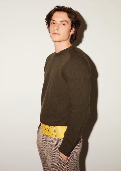 Louis Partridge photo