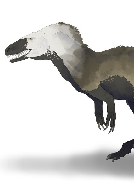 Lourinhanosaurus photo