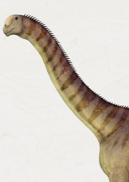 Lourinhasaurus photo