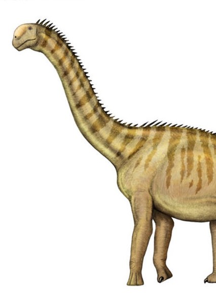 Lourinhasaurus photo