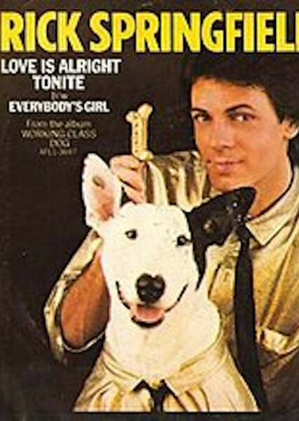 Love Is Alright Tonite