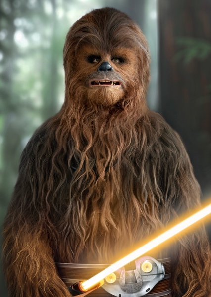 Lowbacca photo