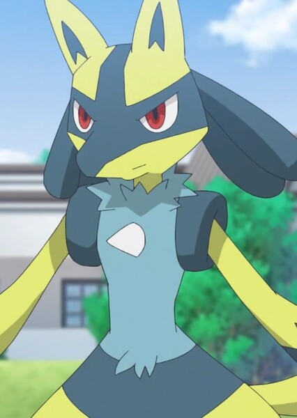Lucario photo