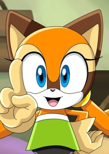 Marine The Raccoon