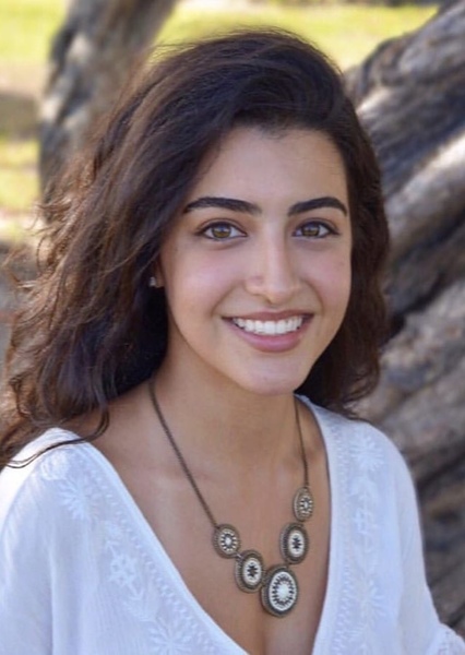 Luciana Zogbi