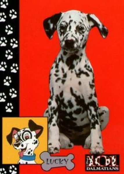 Lucky (101 Dalmatians) photo