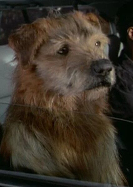 Lucky (Dr. Dolittle)
