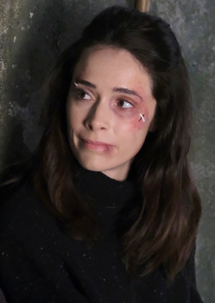 Lucy Preston (Timeless) photo
