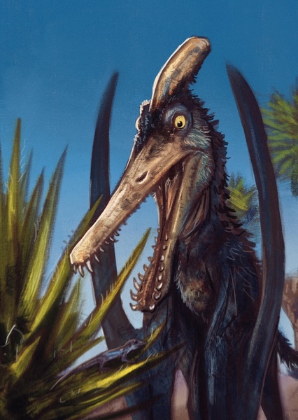 Ludodactylus photo