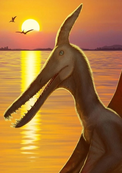 Ludodactylus photo