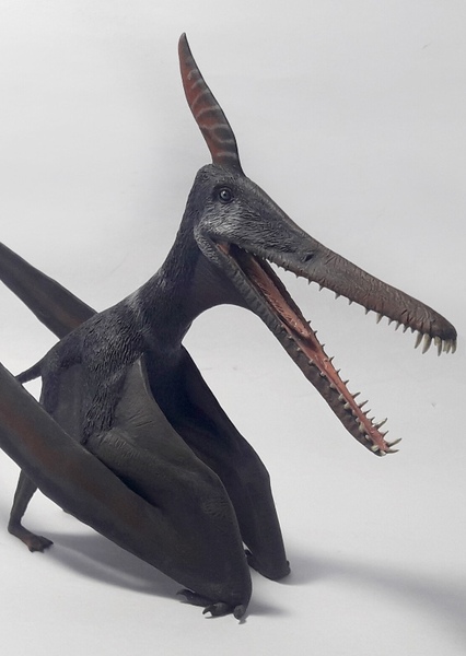 Ludodactylus photo